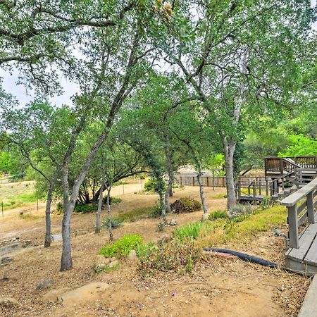 Charming Home Less Than 10 Mi To Sequoia Natl Park! スリー・リバーズ エクステリア 写真